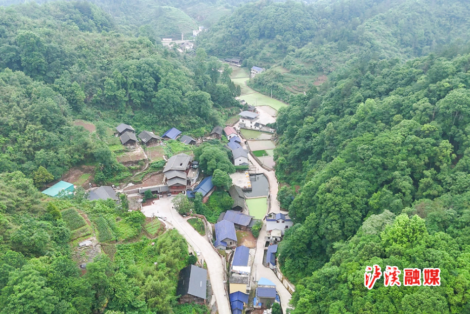 麻溪谣开机 (4).jpg