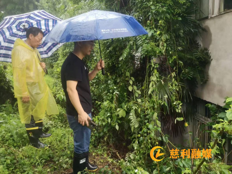 图片19.png 图片19.png