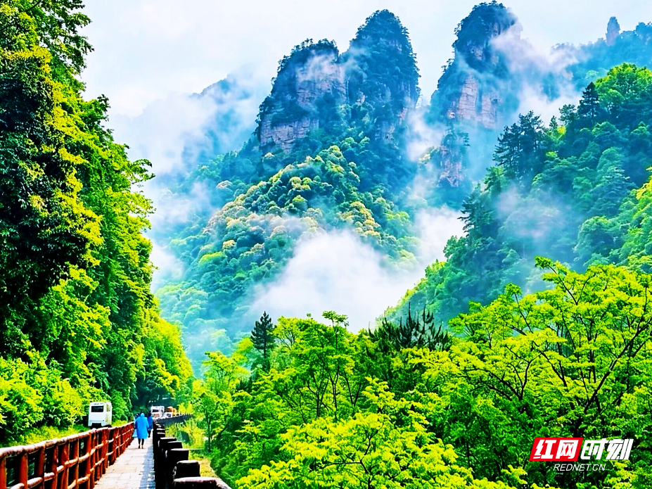 微信图片_20260525230329_1292_112.jpg 微信图片_20260525230329_1292_112.jpg