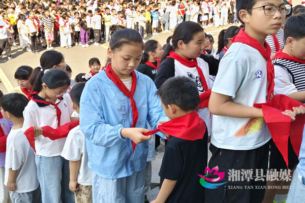 图片1.png 图片1.png