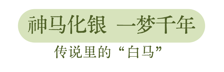 默认标题__2026-05-26+10_32_45.png