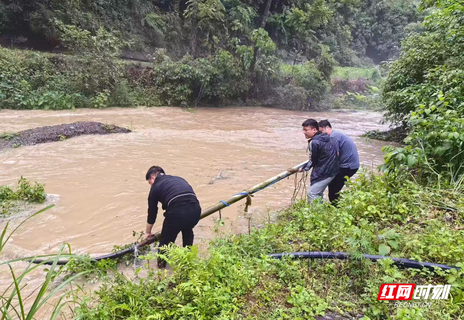 微信图片_20260526114826_1046_12.jpg 微信图片_20260526114826_1046_12.jpg