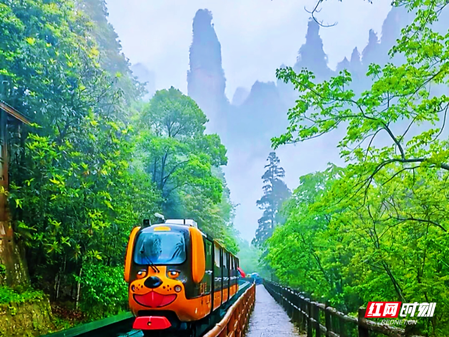 微信图片_20260525230327_1290_112.jpg 微信图片_20260525230327_1290_112.jpg