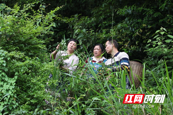 微信图片_20260523165252_555_79_副本.png 微信图片_20260523165252_555_79_副本.png