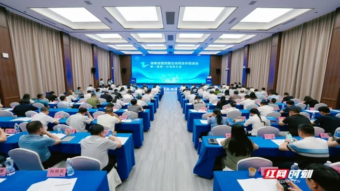 互利共赢，湖南省国资国企协同合作促进会成立