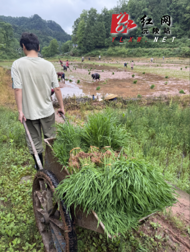 微信图片_20260527154747.png 微信图片_20260527154747.png