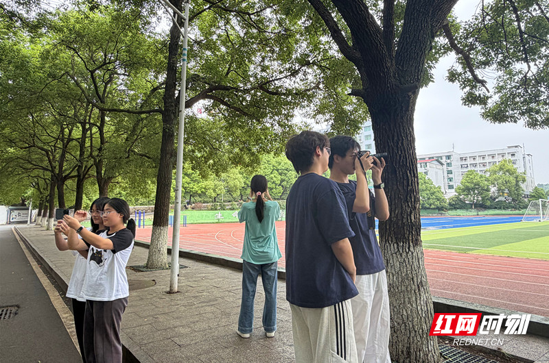 微信图片_20260527123940_128_394.jpg