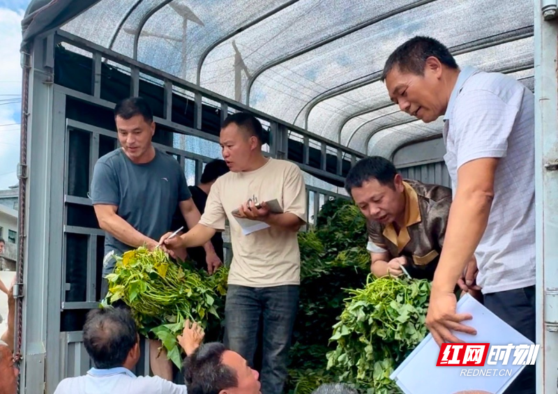 微信图片_20260527201924_1400_14.jpg