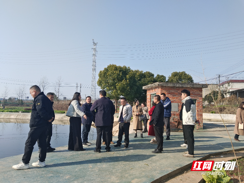 群丰镇人大代表对民生实事票决项目开展监督视察.jpg 群丰镇人大代表对民生实事票决项目开展监督视察.jpg