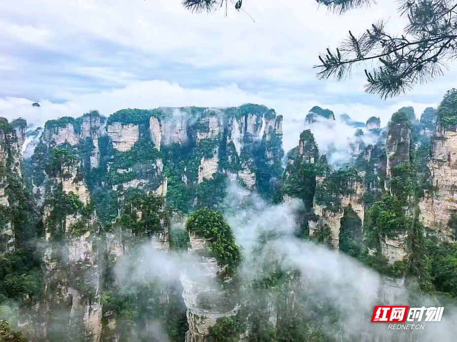 微信图片_20260529114649_2831_214.jpg 微信图片_20260529114649_2831_214.jpg
