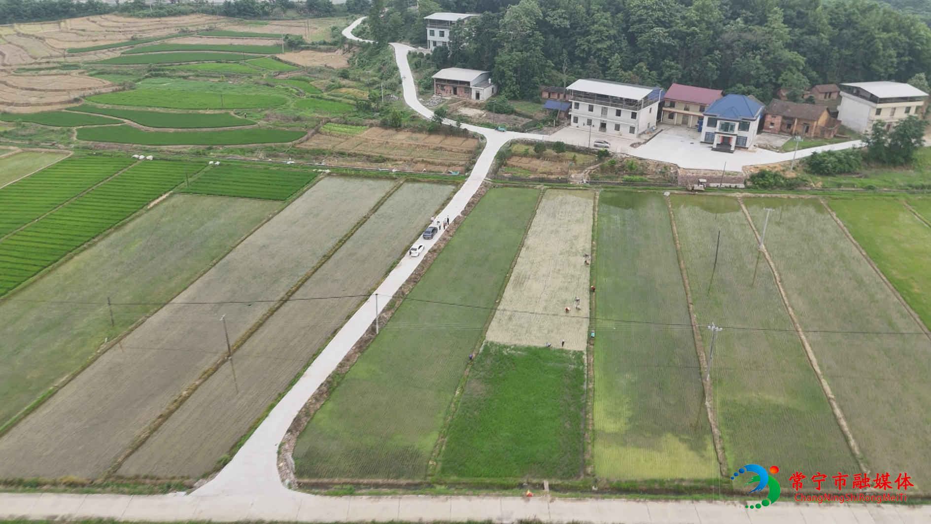 柏坊镇荆林村 (2).jpg 柏坊镇荆林村 (2).jpg