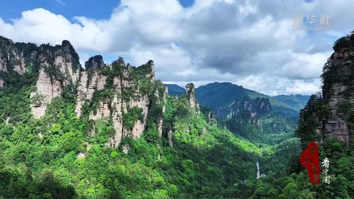 千城百县看中国｜湖南：初夏寻踪 “稀客”现身