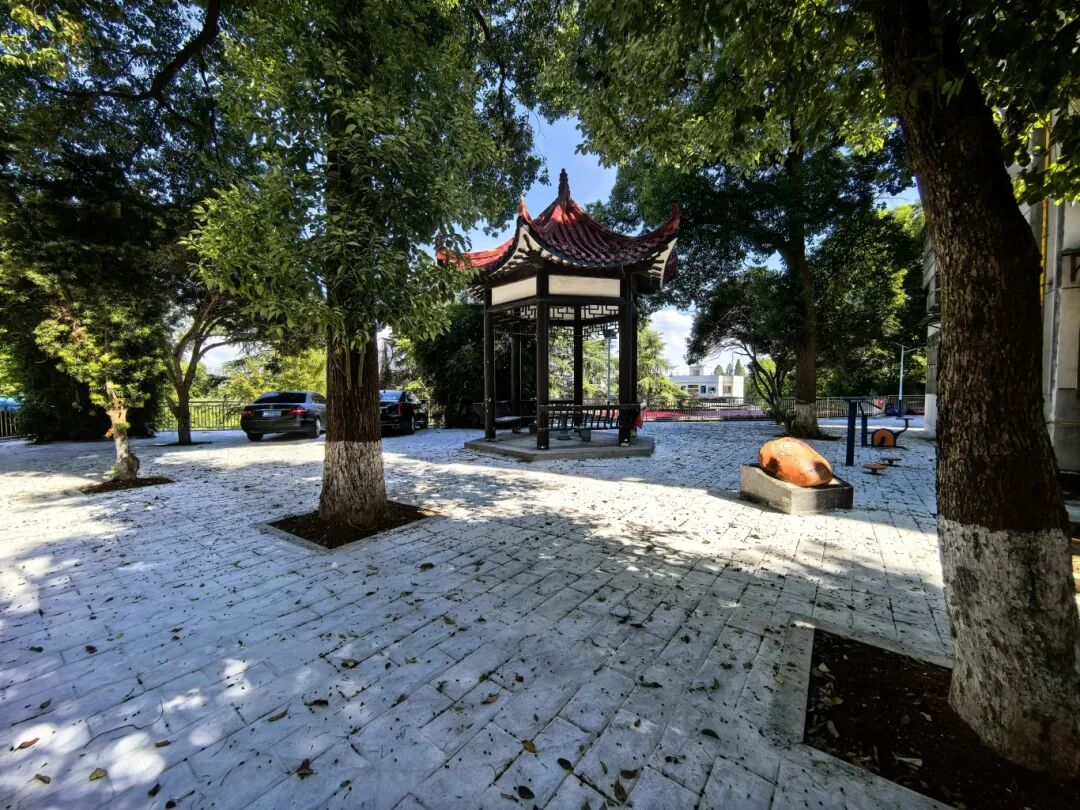 微信图片_20260528151940_502_39.jpg (1).jpg