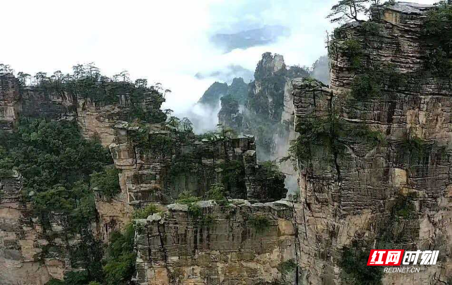 微信图片_20260603091820_2864_214.jpg