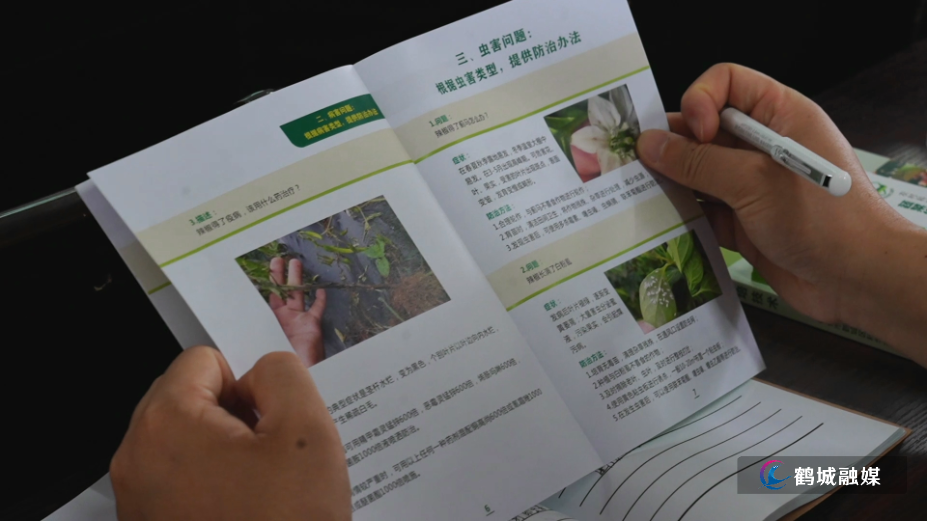 鹤城区:科技下乡助春耕 专家赋能促振兴.mp4_000024.875.png 鹤城区:科技下乡助春耕 专家赋能促振兴.mp4_000024.875.png