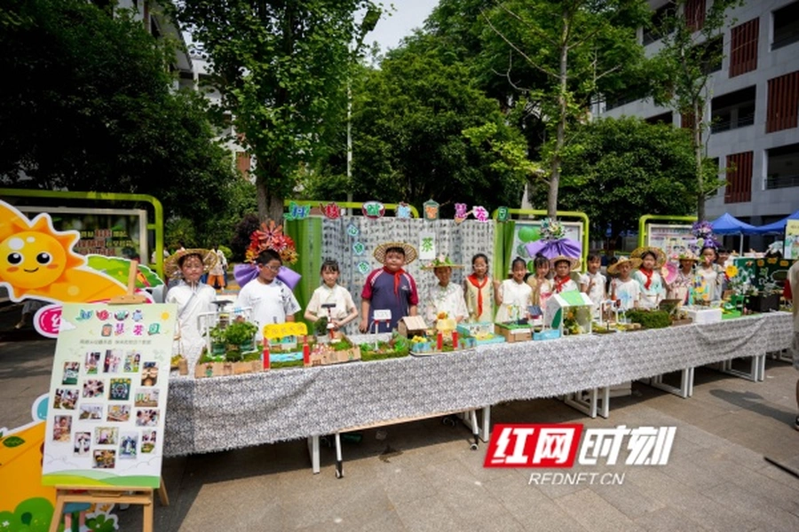 校园里长满“小农夫” 长沙探索劳动育人新生态