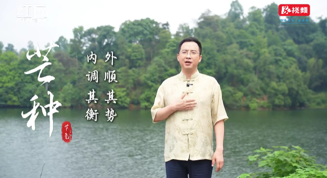 二十四节气之芒种·芒而不疲 祛湿养气