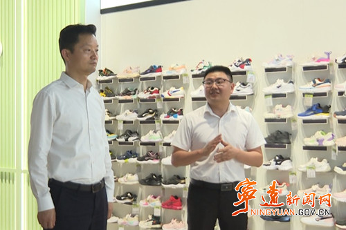 胡果雄来宁远调研安全生产工作_副本500.jpg