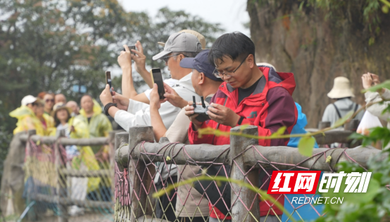 宜章周洁纯：镜头绘山水  真心暖旅途1207.png