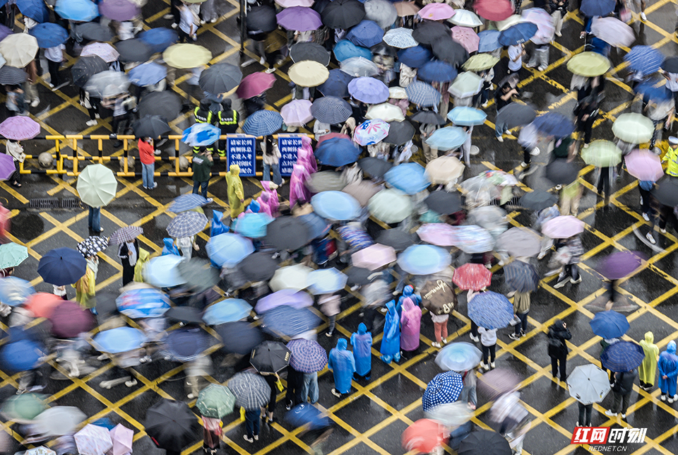 组图丨一组俯视角镜头，带您看考点外的“雨中接考”