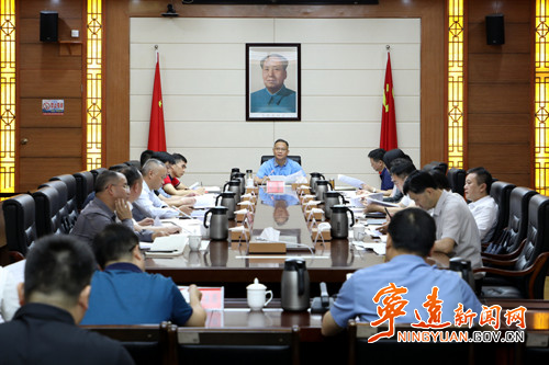 宁远召开“163工程”医疗水平跃升行动调度会_副本500.jpg