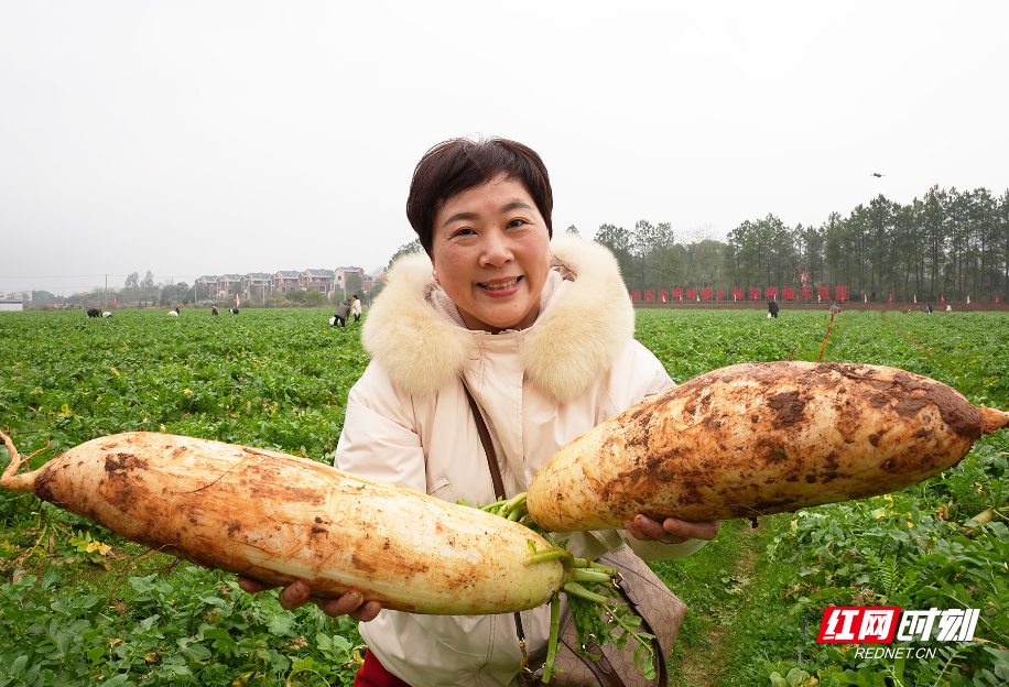 微信图片_20260209081803_1458_296.jpg 微信图片_20260209081803_1458_296.jpg