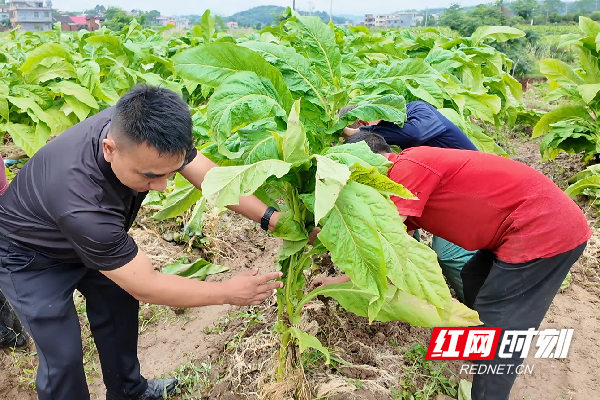 微信图片_20260610181020_11_646.png 微信图片_20260610181020_11_646.png