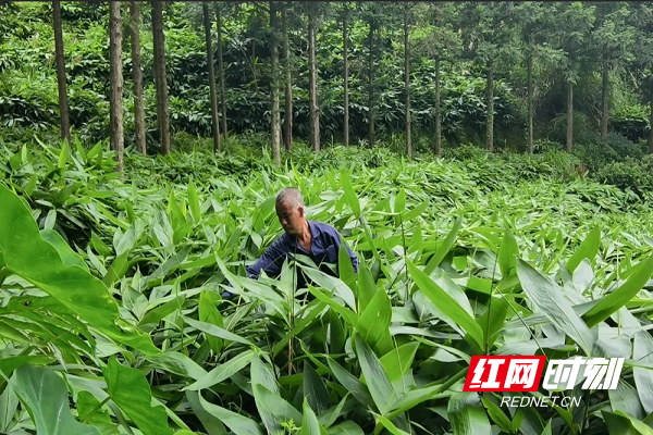 清泉5.png 清泉5.png