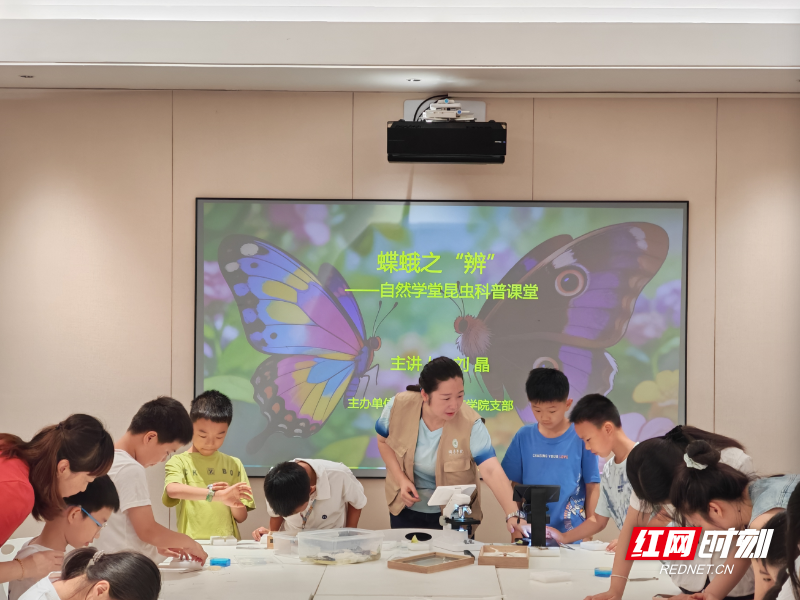 微信图片_2026-06-12_162142_232.png 微信图片_2026-06-12_162142_232.png