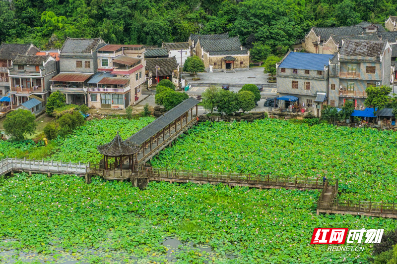 DJI_20260614084139_0010_D 拷贝.jpg DJI_20260614084139_0010_D 拷贝.jpg
