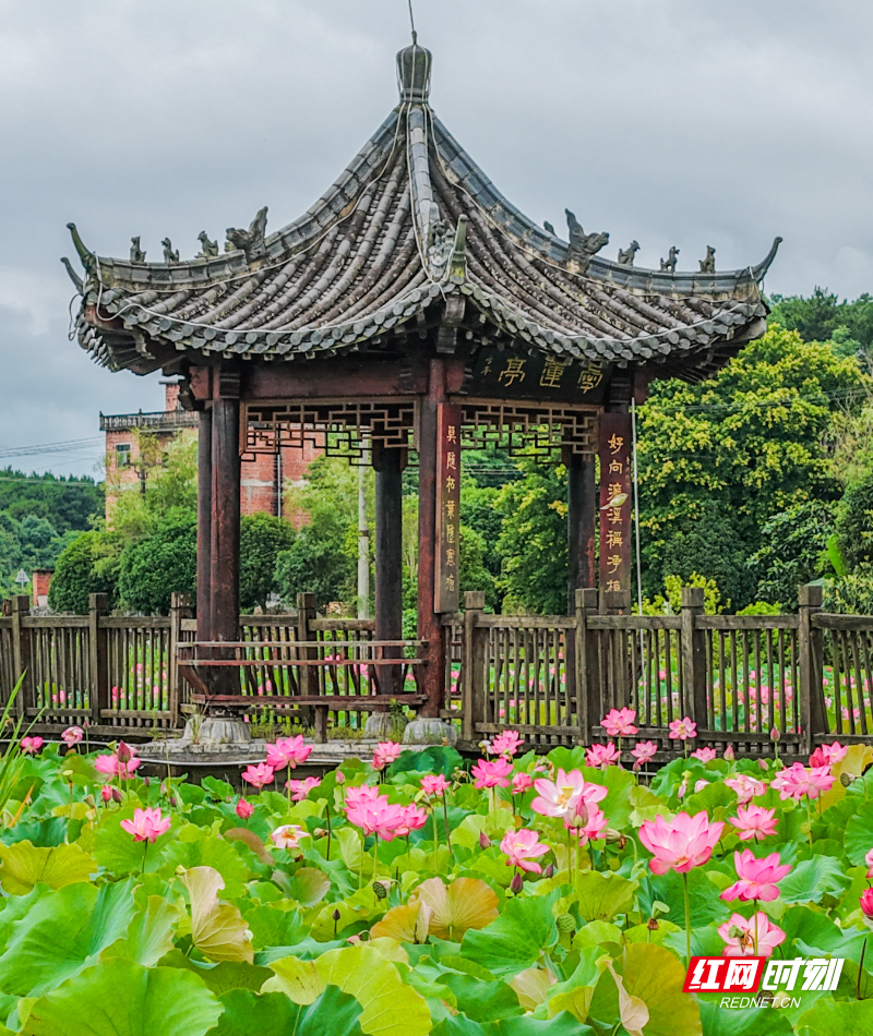 DJI_20260614084656_0018_D 拷贝.jpg DJI_20260614084656_0018_D 拷贝.jpg
