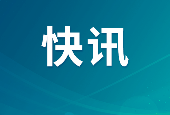 郴州队队旗亮相世界杯赛场