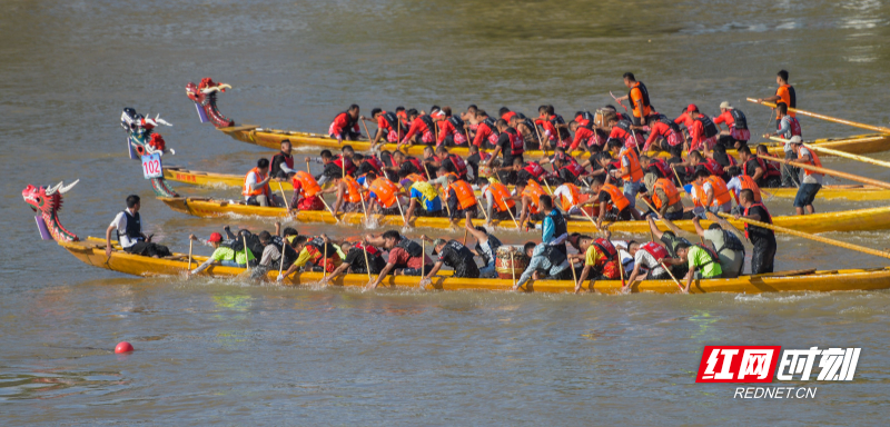 _DSC7836 拷贝.jpg _DSC7836 拷贝.jpg