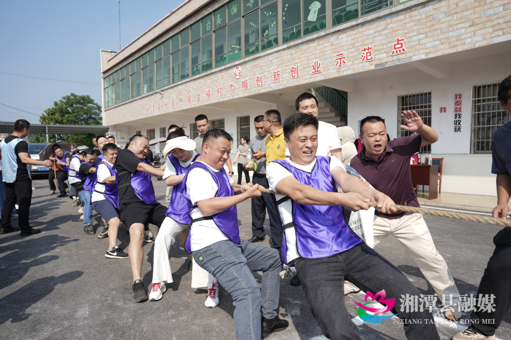 图片04.png
