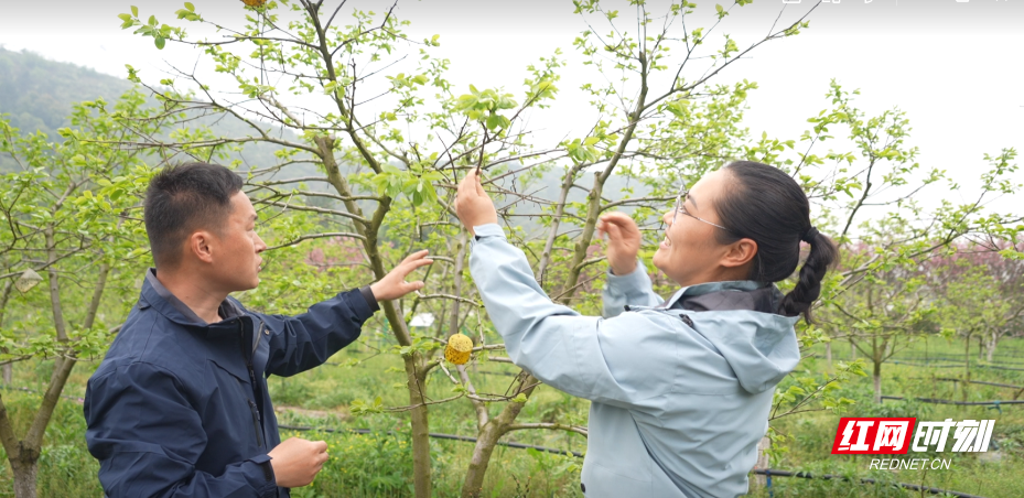 微信图片_2026-05-08_113516_040.png 微信图片_2026-05-08_113516_040.png