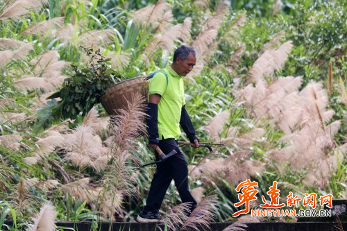 【永冲锋·拼经济·促发展】宁远:瑶浴工厂带动群众家门口就业增收1_副本500.jpg 【永冲锋·拼经济·促发展】宁远:瑶浴工厂带动群众家门口就业增收1_副本500.jpg