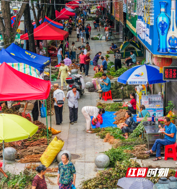 DJI_20260618072817_0162_D 拷贝.jpg DJI_20260618072817_0162_D 拷贝.jpg