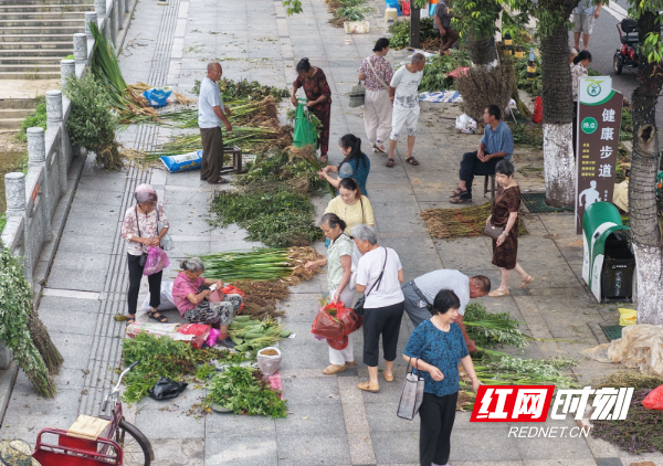 DJI_20260618072654_0158_D 拷贝.jpg DJI_20260618072654_0158_D 拷贝.jpg