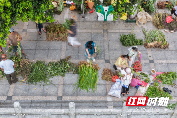 DJI_20260618072509_0150_D 拷贝.jpg DJI_20260618072509_0150_D 拷贝.jpg