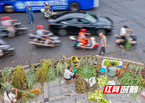 DJI_20260618072153_0133_D 拷贝.jpg DJI_20260618072153_0133_D 拷贝.jpg