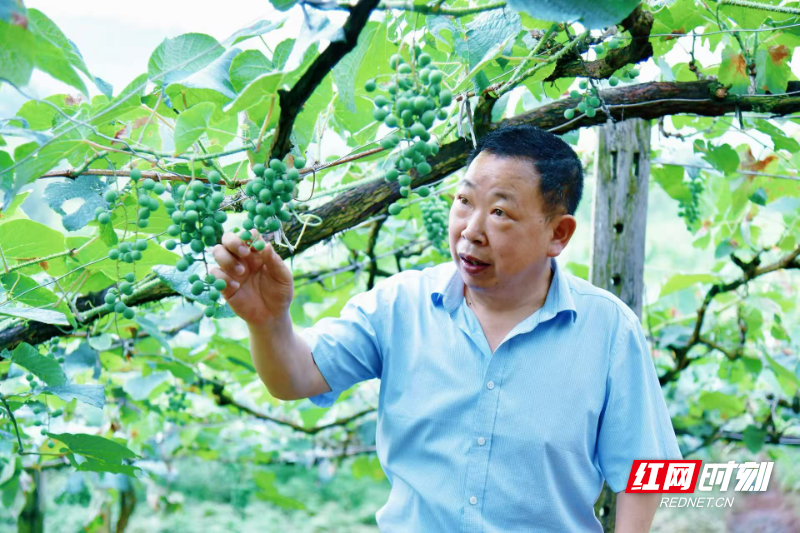 微信图片_20260618064527_898_364.jpg 微信图片_20260618064527_898_364.jpg