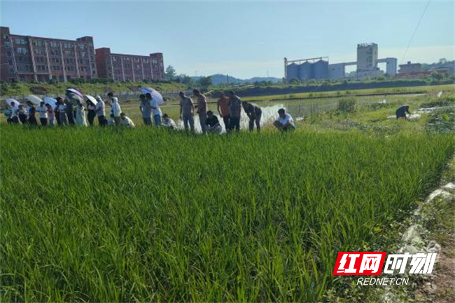 图片7.jpg 图片7.jpg