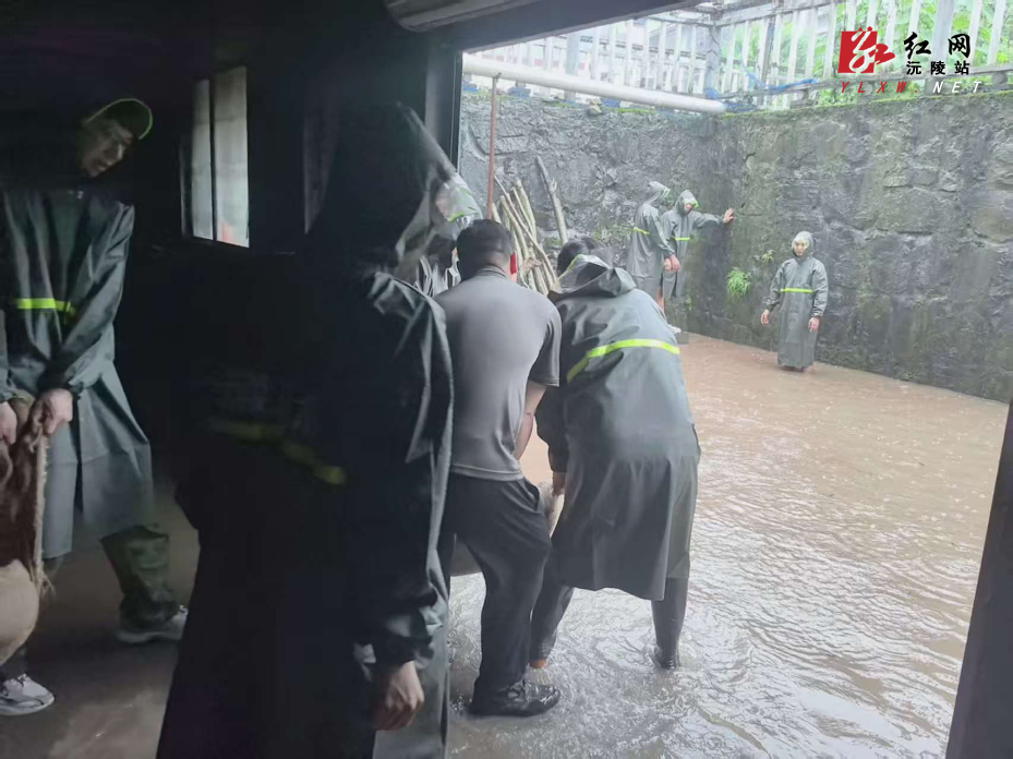 微信图片_20260622145940.jpg