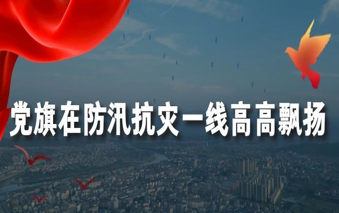 专题丨党旗在防汛抗灾一线高高飘扬