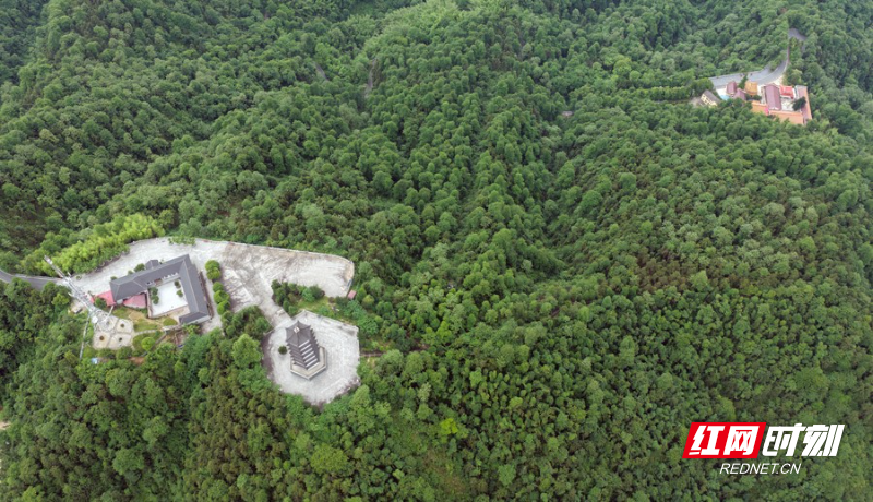 DJI_20260519085921_0042_D.JPG