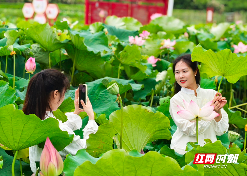 微信图片_20260622150155_6216_23.jpg 微信图片_20260622150155_6216_23.jpg