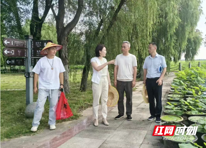 微信图片_20260623144954_847_3.png