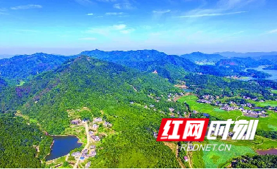图片11.png 图片11.png