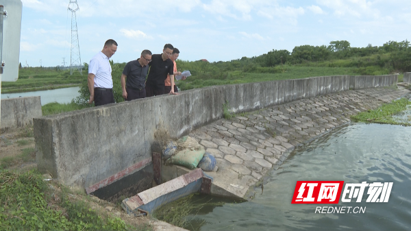 向子顺-1.bmp 向子顺-1.bmp