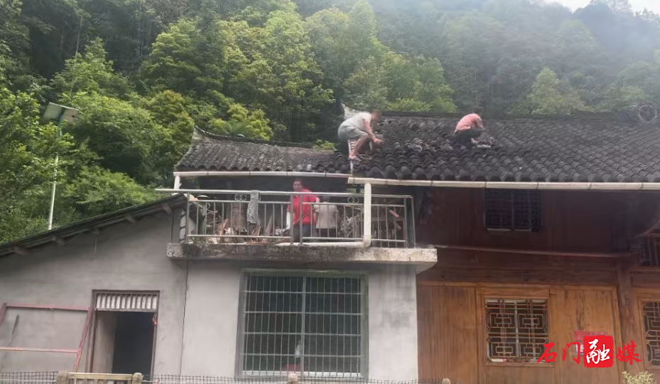 微信图片_20260624104443_1041_22.png